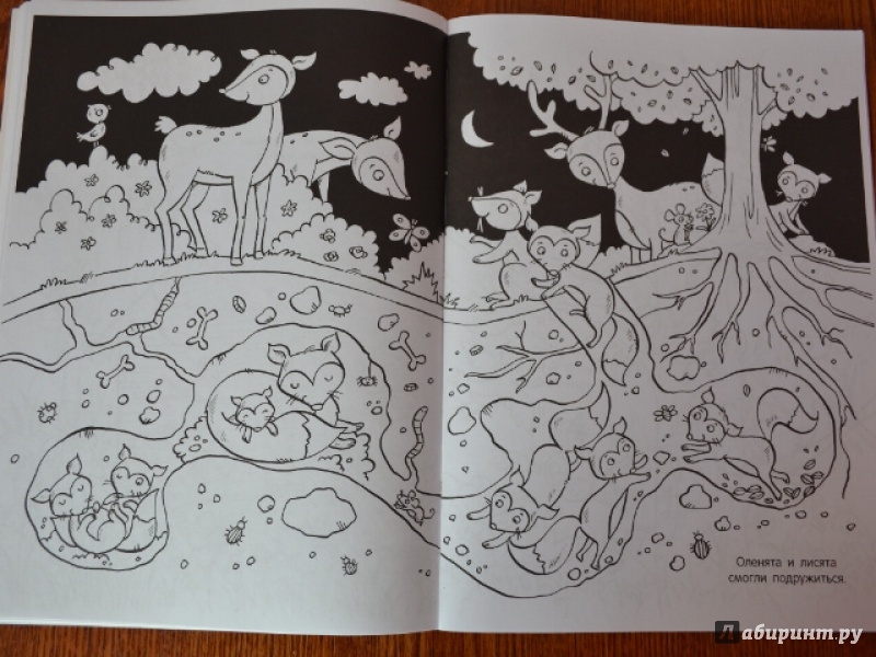 Иллюстрация 13 из 42 для Детеныши животных. Раскраска | Лабиринт - книги. Источник: Орлова Лариса