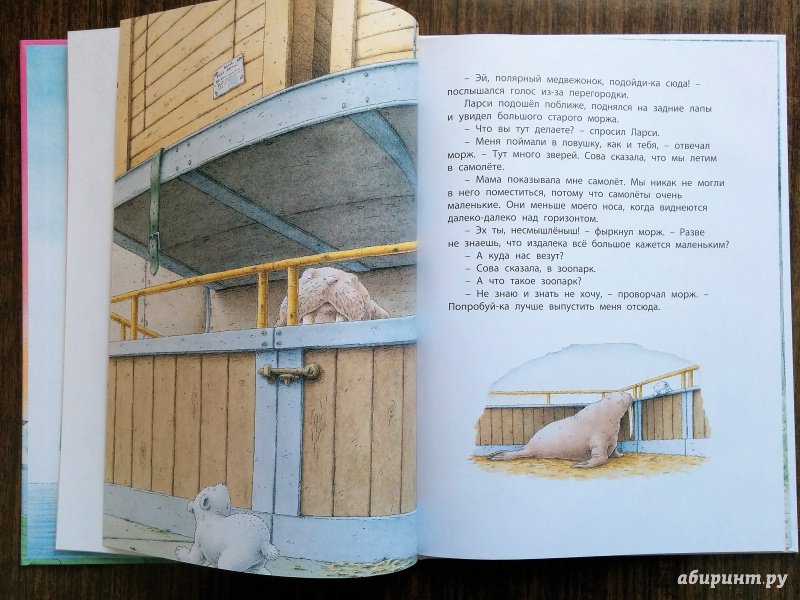 Иллюстрация 38 из 47 для Белый медвежонок находит друга - Беер Де | Лабиринт - книги. Источник: Natalie Leigh