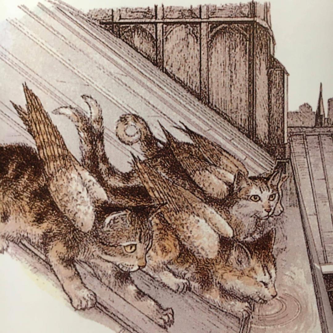 Иллюстрация 54 из 59 для Крылатые кошки - Гуин Ле | Лабиринт - книги. Источник: Лабиринт