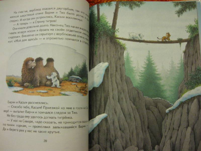 Иллюстрация 64 из 86 для Барни, белый медвежонок - Беер Де | Лабиринт - книги. Источник: Indol