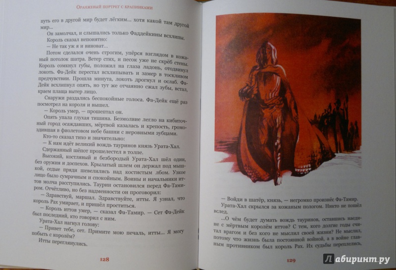 Иллюстрация 21 из 22 для Оранжевый портрет с крапинками - Владислав Крапивин | Лабиринт - книги. Источник: Mechnik