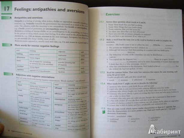 Иллюстрация 20 из 23 для English Vocabulary in Use: Advanced - McCarthy, O`Dell | Лабиринт - книги. Источник: Вася