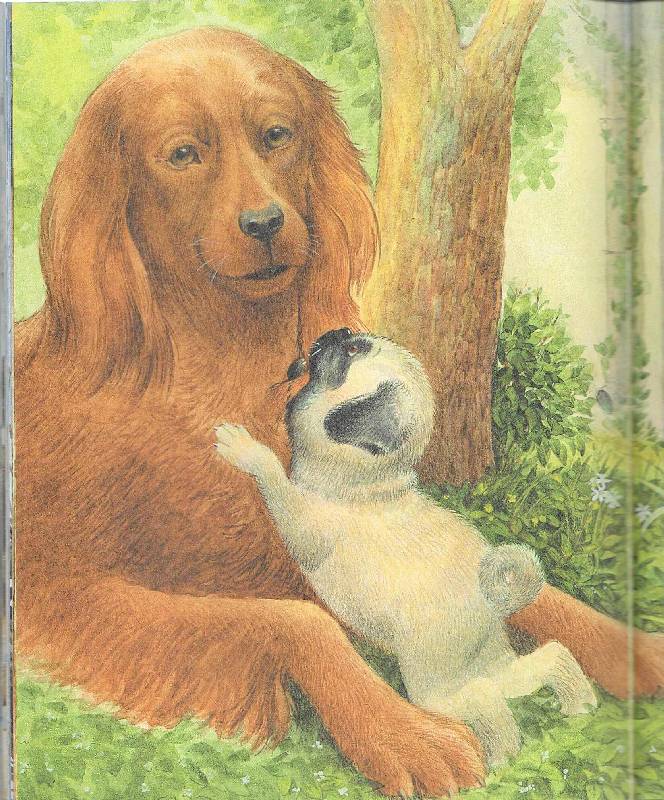 Мама и собака рассказ. Играющие собаки Ушинский. Куприн Завирайка иллюстрации. Куприн Завирайка.