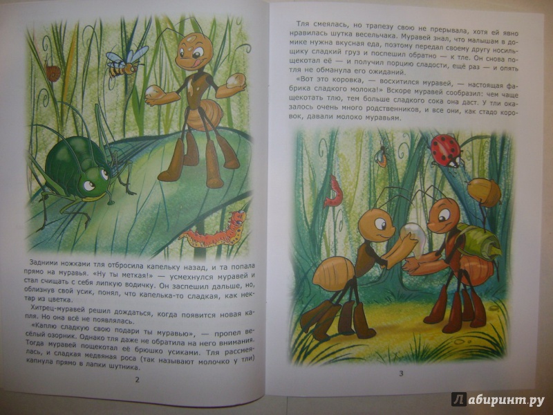 Иллюстрация 8 из 18 для Муравьишка и тля - Лариса Тарасенко | Лабиринт - книги. Источник: Саша Юрина