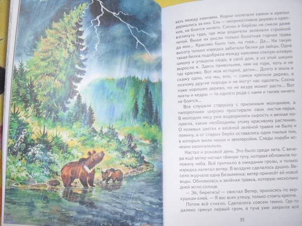 Иллюстрация 22 из 54 для Серая Шейка - Дмитрий Мамин-Сибиряк | Лабиринт - книги. Источник: ASTI82