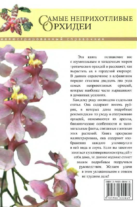 Иллюстрация 21 из 21 для Самые неприхотливые орхидеи - Рой Маккалистер | Лабиринт - книги. Источник: Кнопа2