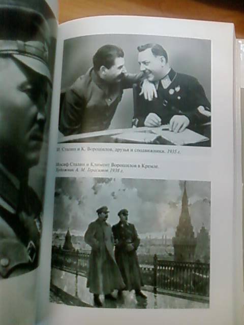 Иллюстрация 27 из 27 для Окружение Сталина - Рой Медведев | Лабиринт - книги. Источник: lettrice