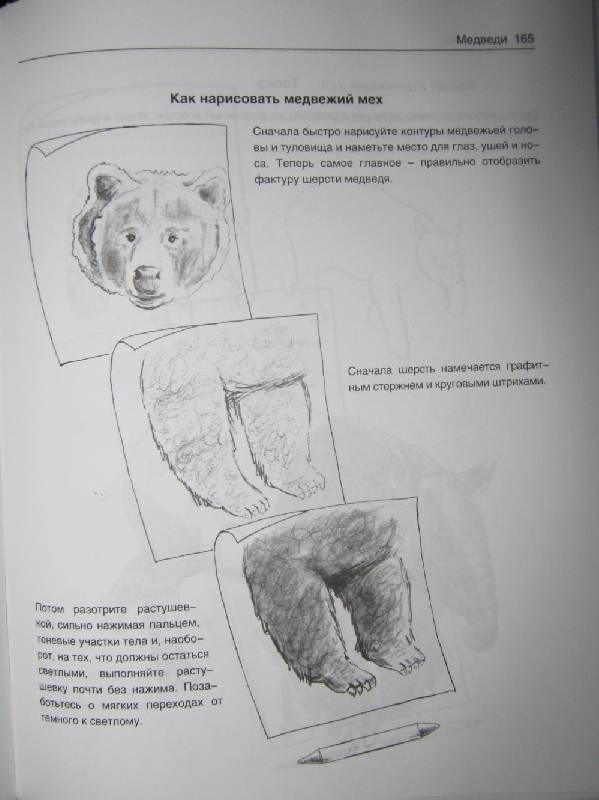Иллюстрация 6 из 21 для Рисуем животных - Вальтер Хальбингер | Лабиринт - книги. Источник: Спанч Боб