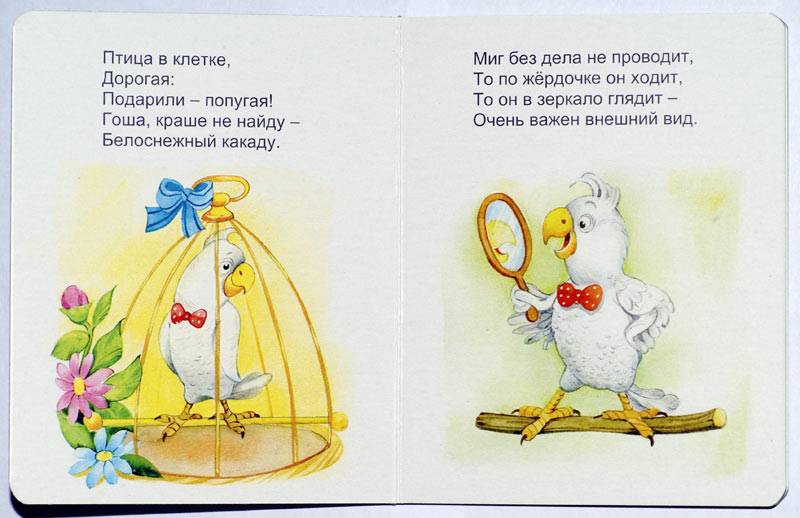 Иллюстрация 17 из 19 для Попугай Гоша: Стихи - Владимир Борисов | Лабиринт - книги. Источник: Кнопа2