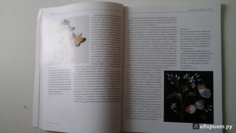 Иллюстрация 20 из 41 для Бабочки. Практическое руководство - Хелен Стивенс | Лабиринт - книги. Источник: manyaa