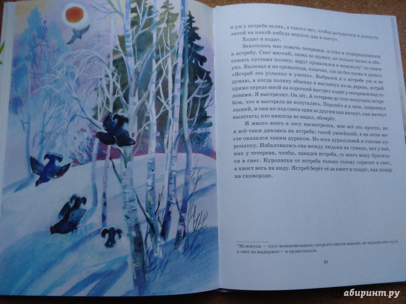 Иллюстрация 78 из 78 для Охота за бабочкой - Михаил Пришвин | Лабиринт - книги. Источник: Ольга