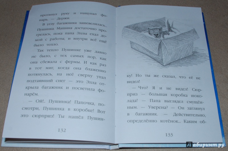 Иллюстрация 34 из 81 для Котёнок Пушинка, или Рождественское чудо - Холли Вебб | Лабиринт - книги. Источник: Книжный кот