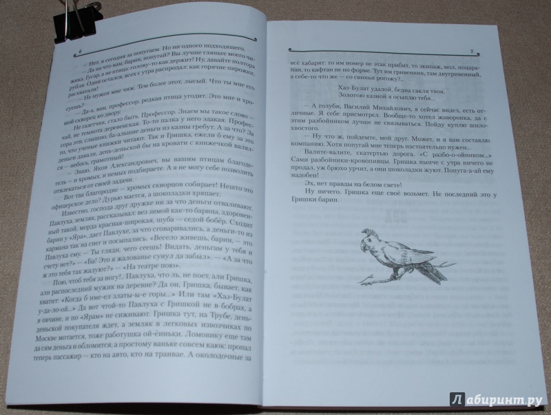 Иллюстрация 5 из 16 для Пасха птицелова - Светлана Шешунова | Лабиринт - книги. Источник: Книжный кот