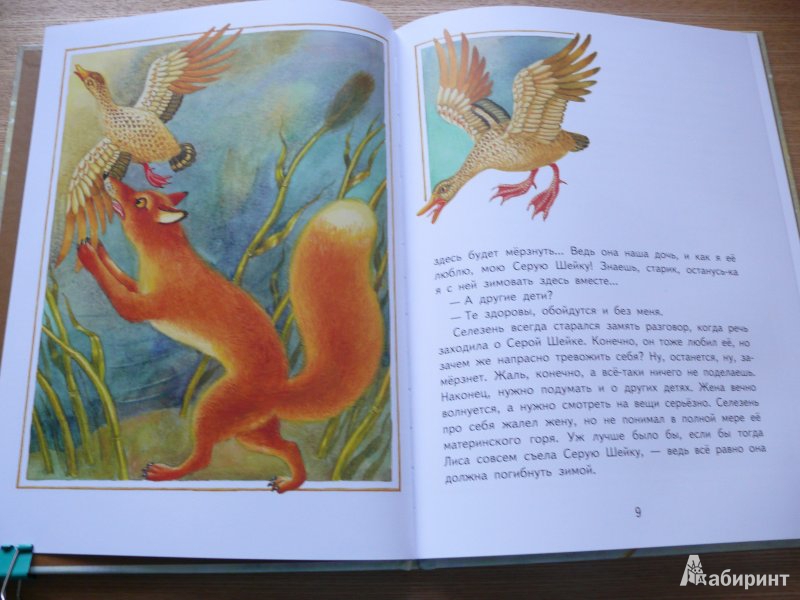 Иллюстрация 3 из 18 для Серая Шейка - Дмитрий Мамин-Сибиряк | Лабиринт - книги. Источник: Ded Sergej