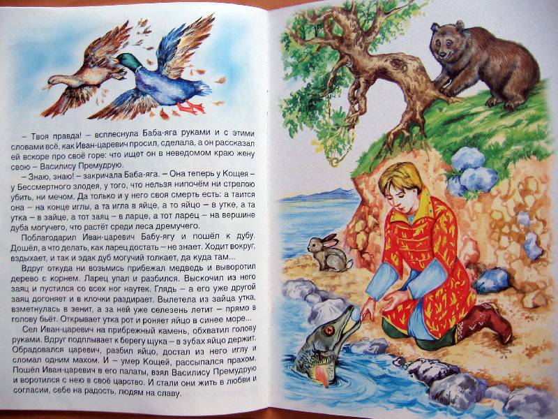 Иллюстрация 13 из 41 для Царевна-лягушка | Лабиринт - книги. Источник: Red cat ;)