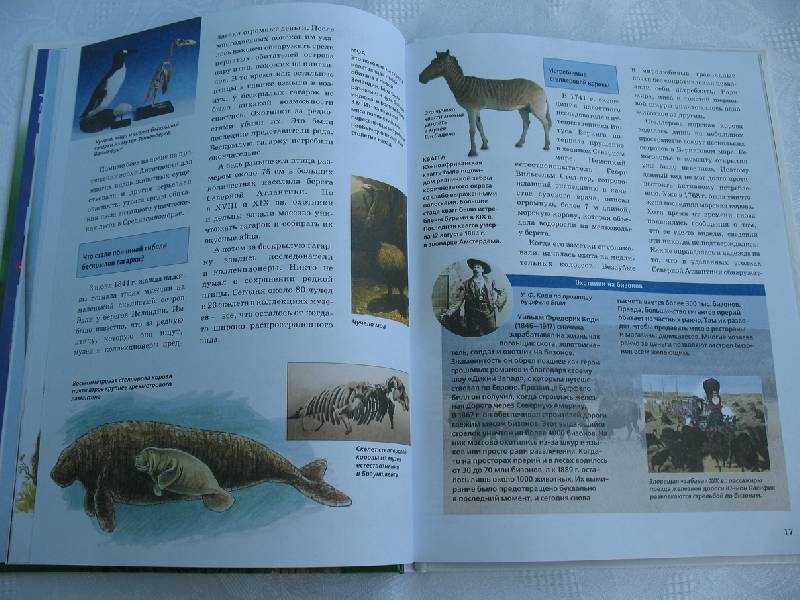 Иллюстрация 9 из 15 для Вымершие и вымирающие животные - Дитмар Мертенс | Лабиринт - книги. Источник: tayana