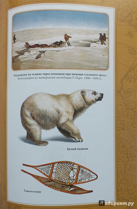 Иллюстрация 19 из 56 для По большому льду. Северный полюс - Роберт Пири | Лабиринт - книги. Источник: polaris