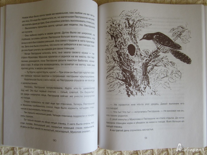 Иллюстрация 9 из 17 для Лесные были и небылицы - Виталий Бианки | Лабиринт - книги. Источник: ЮлияО