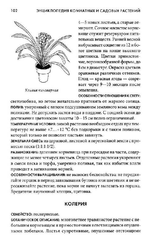 Иллюстрация 26 из 30 для Энциклопедия комнатных и садовых растений | Лабиринт - книги. Источник: Юта