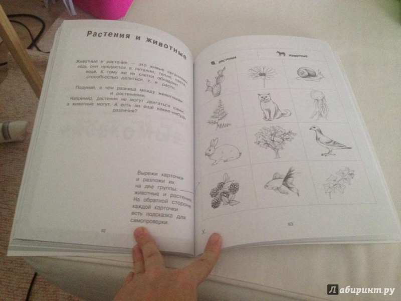 Иллюстрация 14 из 33 для Я учусь с Montessori - Эва Эррманн | Лабиринт - книги. Источник: Boegaeva  Julia Прямой Телефон 0032488350110
