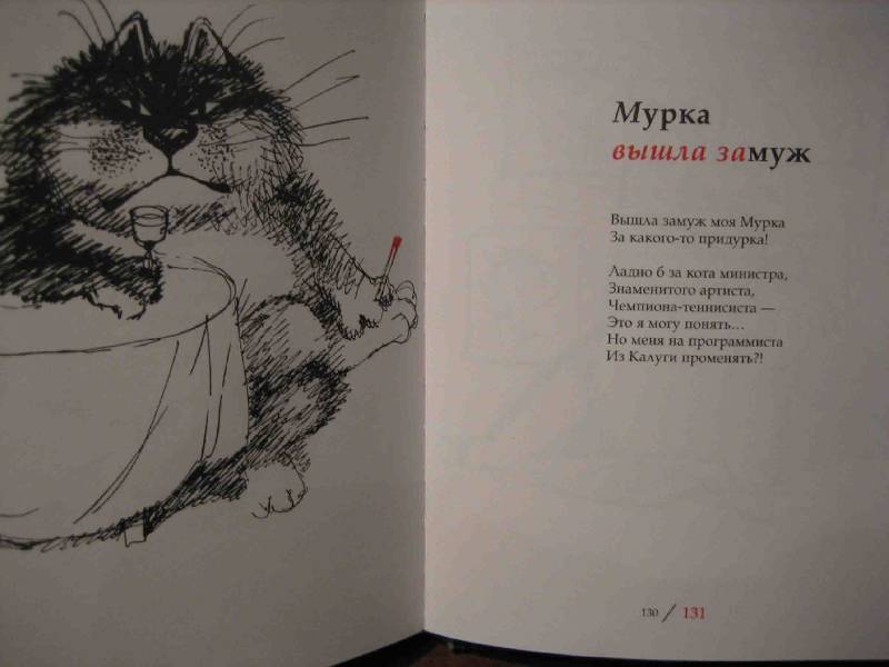 Иллюстрация 31 из 43 для Планета кошек - Усачев, Чижиков | Лабиринт - книги. Источник: Трухина Ирина
