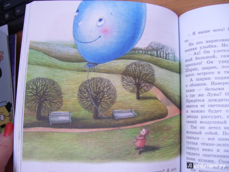 Иллюстрация 17 из 21 для Знаменитый утёнок Тим - Энид Блайтон | Лабиринт - книги. Источник: КошкаПолосатая