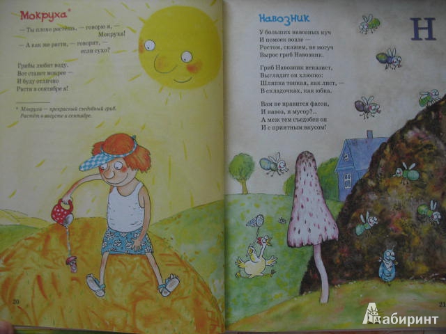 Иллюстрация 44 из 54 для Большая грибная книга - Андрей Усачев | Лабиринт - книги. Источник: kolobus