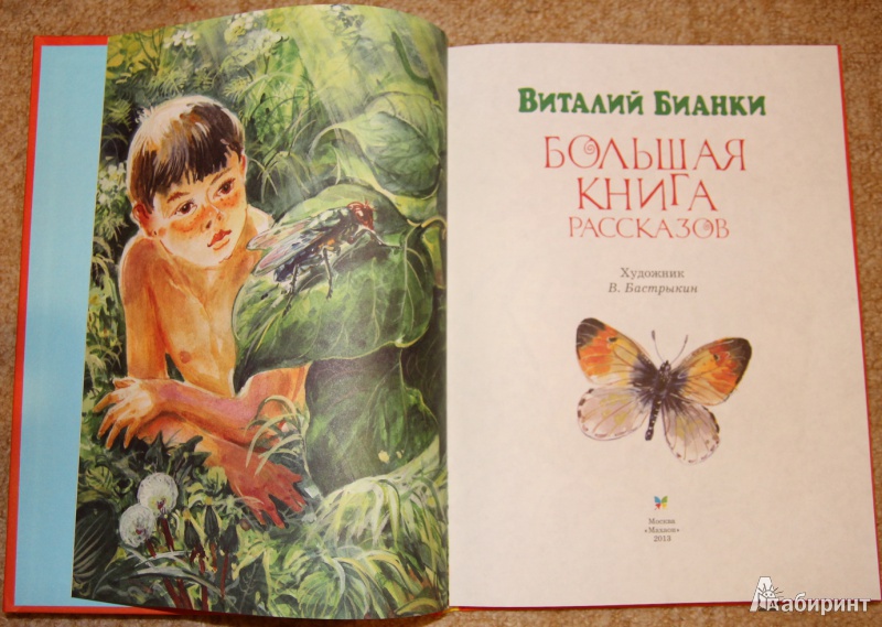 Иллюстрация 12 из 33 для Большая книга рассказов - Виталий Бианки | Лабиринт - книги. Источник: Mir@Mir@