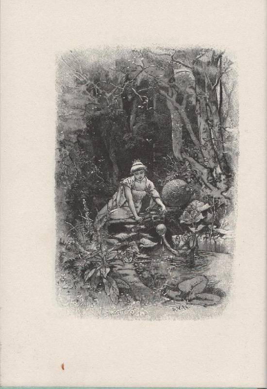 Иллюстрация 19 из 30 для Сказки - Гримм Якоб и Вильгельм | Лабиринт - книги. Источник: Zhanna
