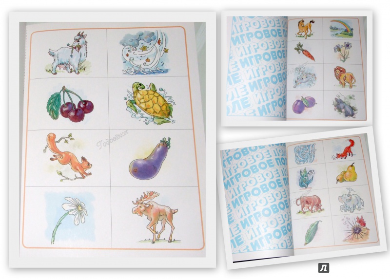 Иллюстрация 11 из 24 для Путешествие в мир природы. Развивающее лото с загадками и картинками для детей от 3 лет - Виталий Тунников | Лабиринт - книги. Источник: Годовёнок