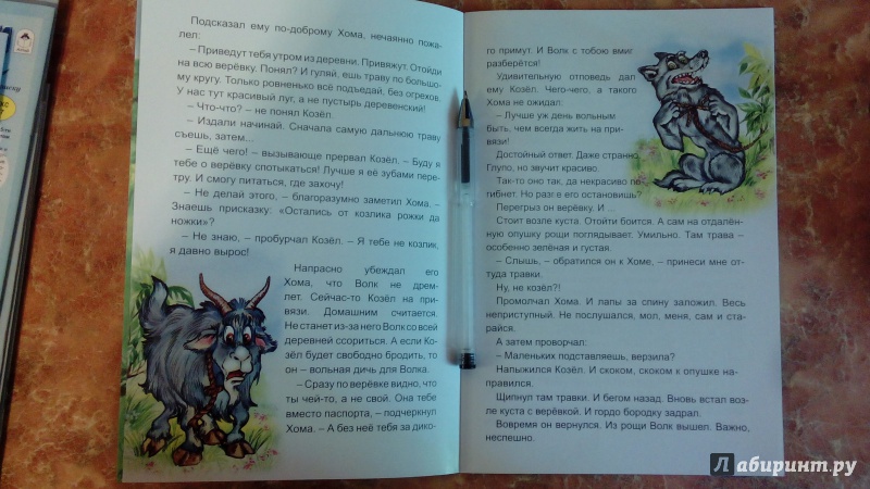 Иллюстрация 6 из 30 для Как Хома козла охранял - Альберт Иванов | Лабиринт - книги. Источник: Косова  Мария