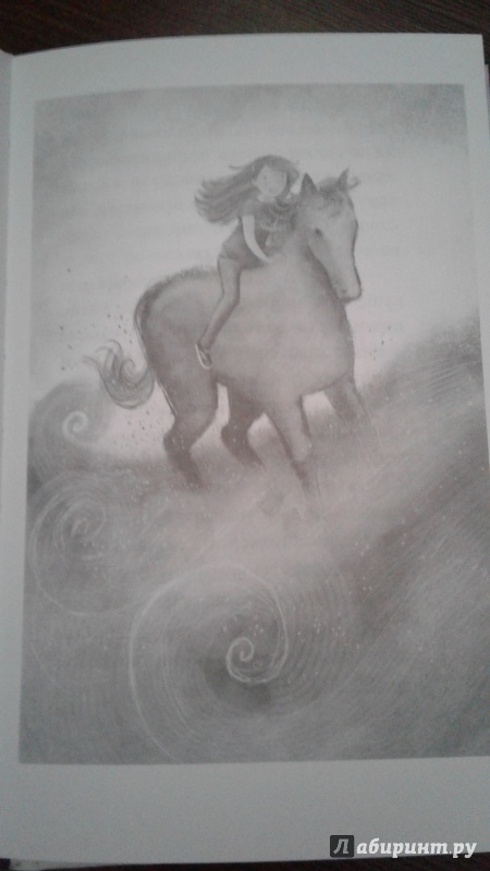 Иллюстрация 33 из 39 для Сюрприз из тумана - Кики Торп | Лабиринт - книги. Источник: Юлия  Юлия