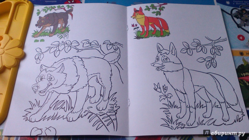 Иллюстрация 5 из 9 для Раскраска малышам. Лесные звери. 2-4 года | Лабиринт - книги. Источник: Mila