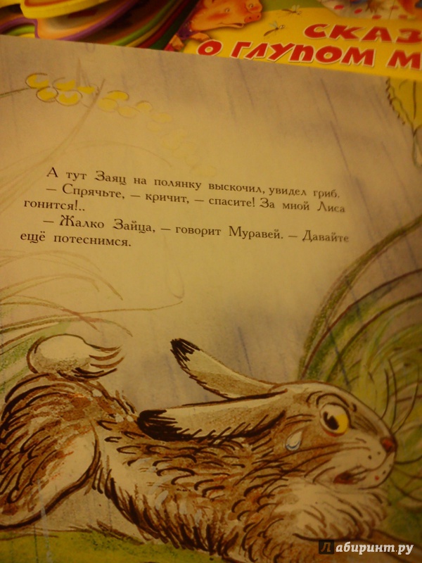 Иллюстрация 9 из 17 для Под грибом - Владимир Сутеев | Лабиринт - книги. Источник: Ko-ren