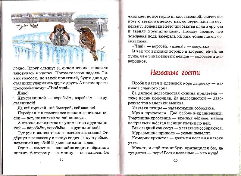 Иллюстрация 8 из 8 для Бюро лесных услуг - Николай Сладков | Лабиринт - книги. Источник: tusya