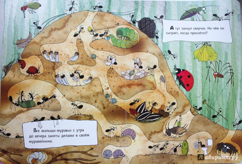 Иллюстрация 21 из 43 для Что делают муравьи | Лабиринт - книги. Источник: Mariya Lu