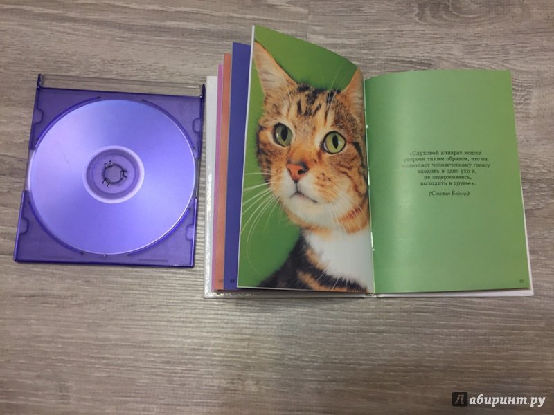 Иллюстрация 10 из 20 для Очаровательные кошки - Карен Принс | Лабиринт - книги. Источник: К  Лилия