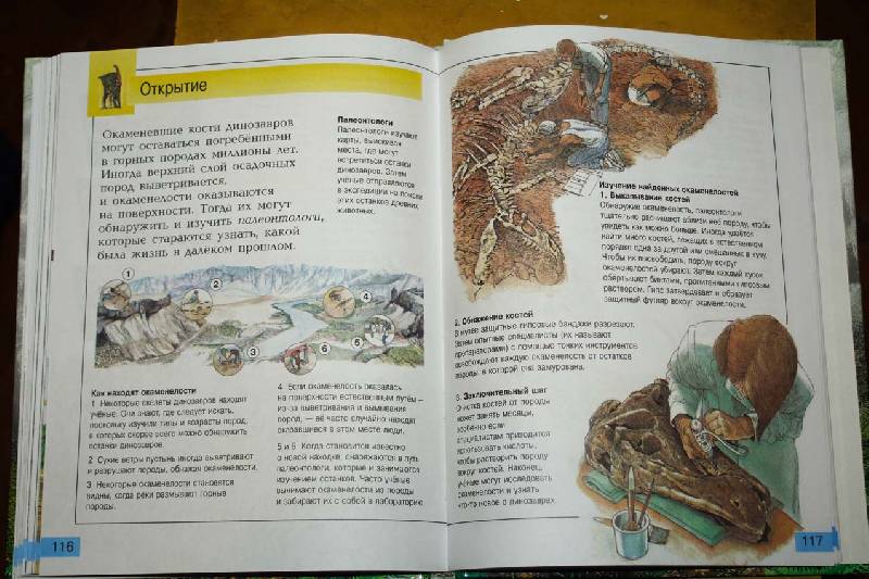 Иллюстрация 8 из 12 для Самые удивительные динозавры (серая) - Дугал Диксон | Лабиринт - книги. Источник: вера_о