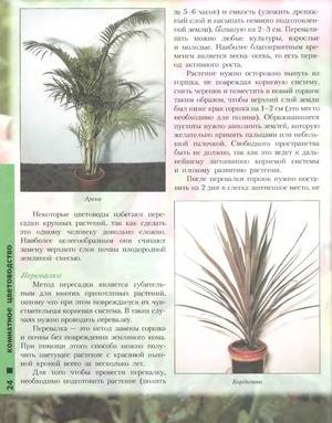 Иллюстрация 19 из 46 для Лучшие комнатные растения - Моисей Миллер | Лабиринт - книги. Источник: Nadezhda_S