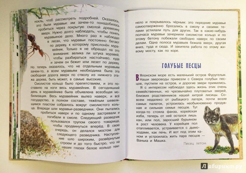 Иллюстрация 17 из 70 для Рассказы о природе - Михаил Пришвин | Лабиринт - книги. Источник: Катерина Громова