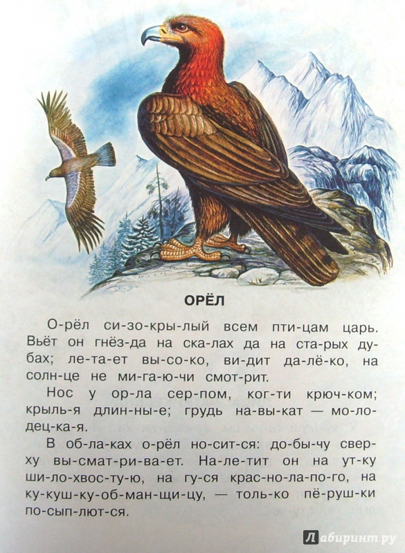 Иллюстрация 30 из 33 для Маленькие рассказы - Константин Ушинский | Лабиринт - книги. Источник: Соловьев  Владимир