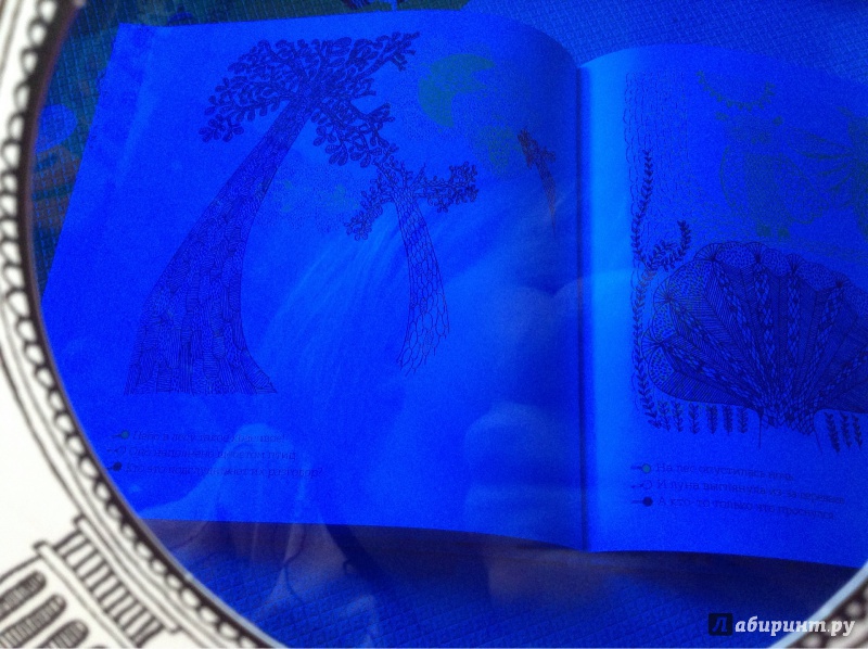 Иллюстрация 16 из 92 для Кто прячется в лесу? - Айна Бестард | Лабиринт - книги. Источник: Рыженкова  Анна