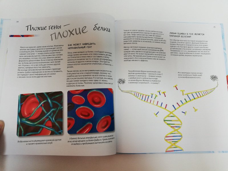 Иллюстрация 10 из 21 для Удивительный мир генов. Почему мы похожи на родителей. Нескучная наука - Ланда, Боэрле | Лабиринт - книги. Источник: dbyyb