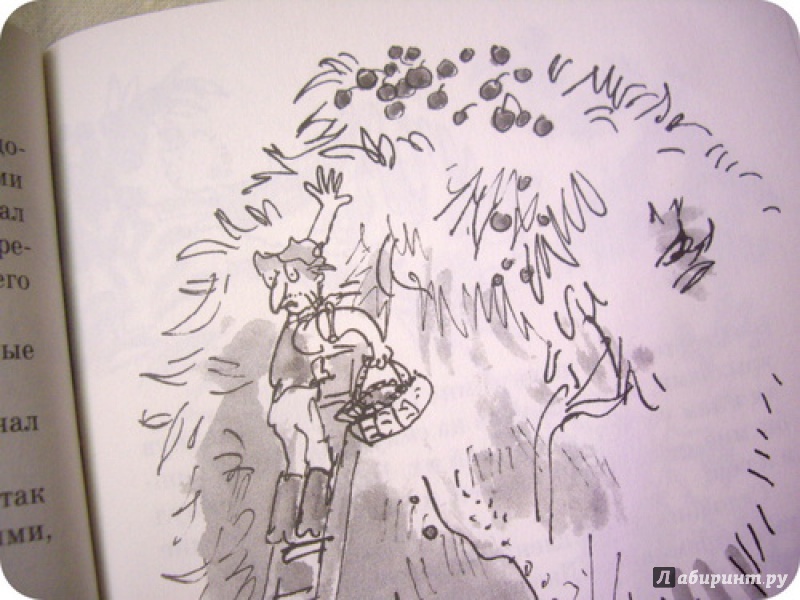 Иллюстрация 23 из 27 для Жирафа, и Пелли, и я - Роальд Даль | Лабиринт - книги. Источник: anne-d-autriche