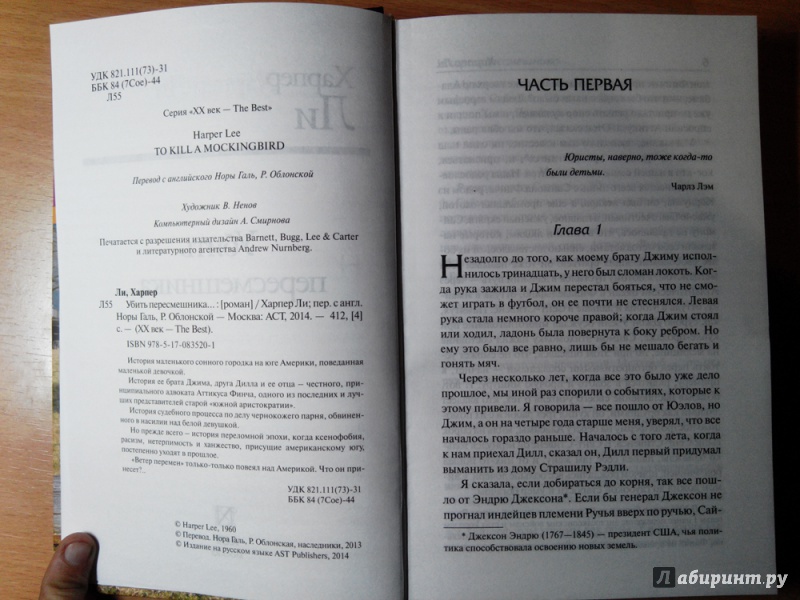 Иллюстрация 41 из 84 для Убить пересмешника… - Харпер Ли | Лабиринт - книги. Источник: Ермолаева  Марина Ивановна