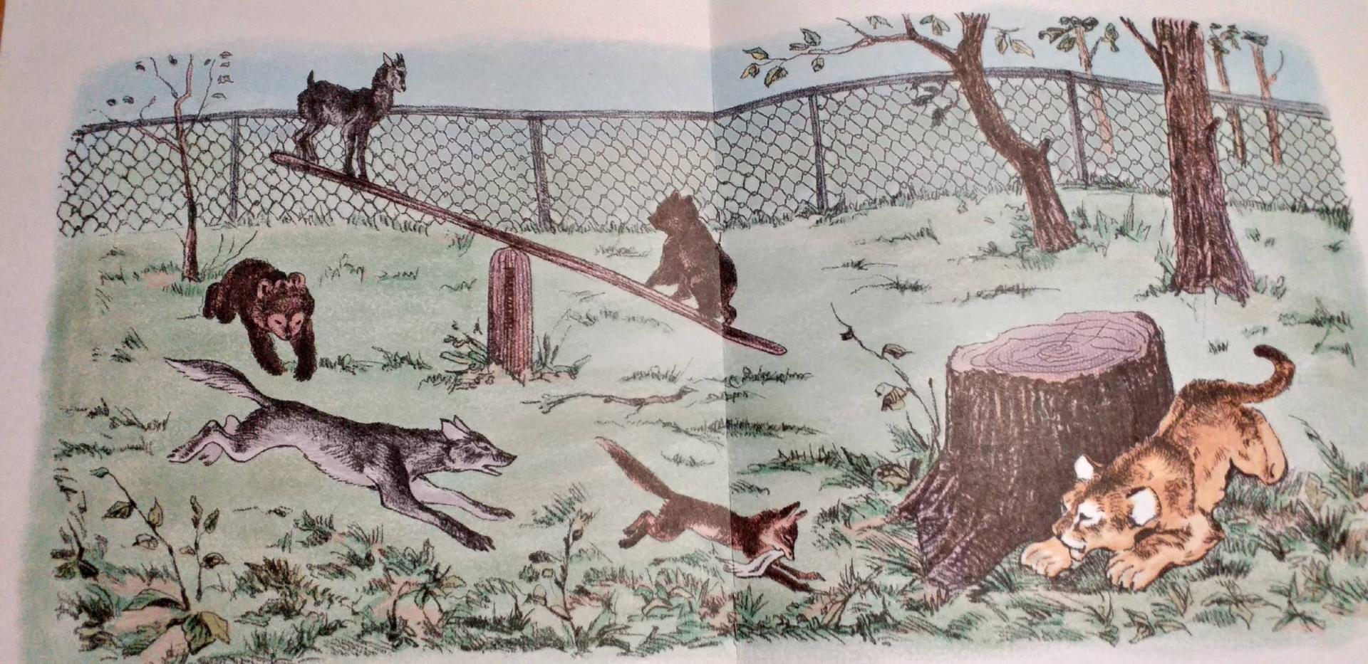 Иллюстрация 33 из 34 для Медвежонок Рычик и его товарищи - Вера Чаплина | Лабиринт - книги. Источник: Лабиринт