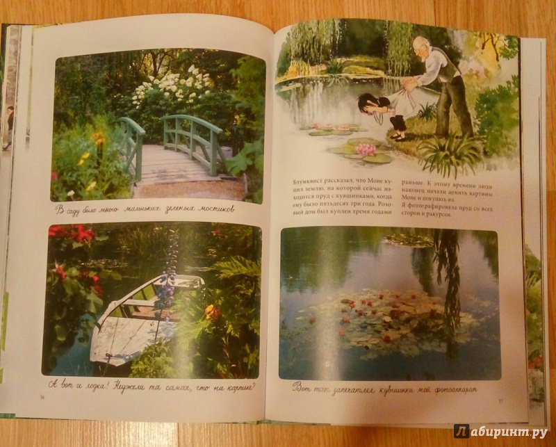 Иллюстрация 32 из 52 для Линнея в саду художника - Бьорк, Андерсон | Лабиринт - книги. Источник: Мурыгина  Ирина Сергеевна