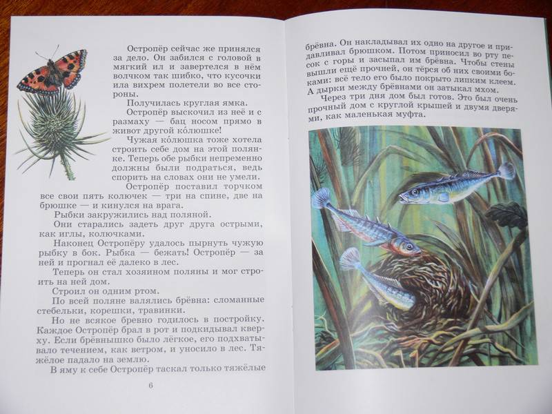Иллюстрация 13 из 17 для Рыбий дом - Виталий Бианки | Лабиринт - книги. Источник: Irbis