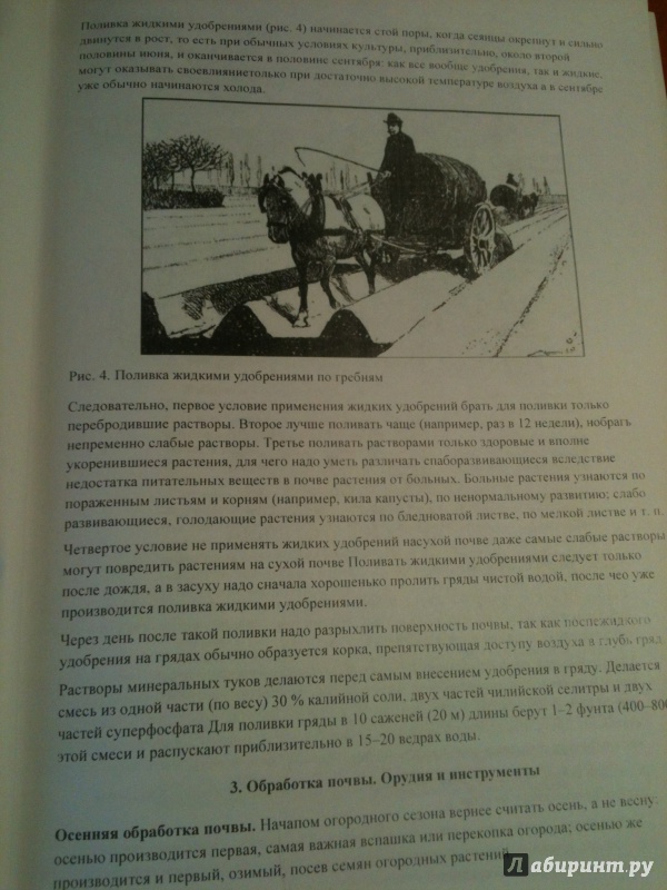 Иллюстрация 2 из 29 для Северное огородничество. Практическое руководство к правильному устройству огорода - Павел Штейнберг | Лабиринт - книги. Источник: Мошков Евгений Васильевич