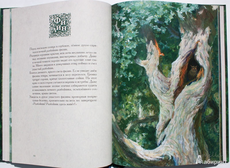Иллюстрация 65 из 69 для Год в лесу - Иван Соколов-Микитов | Лабиринт - книги. Источник: Букландия